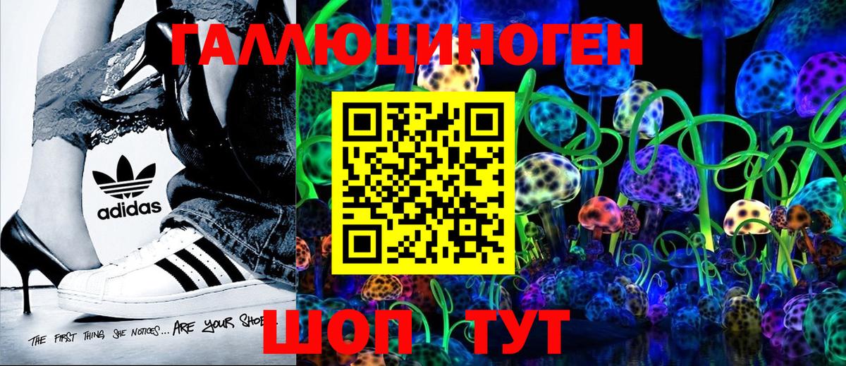 где купить наркоту  Вход с VPN  Туапсе  Псилоцибиновые грибы Psilocybe 