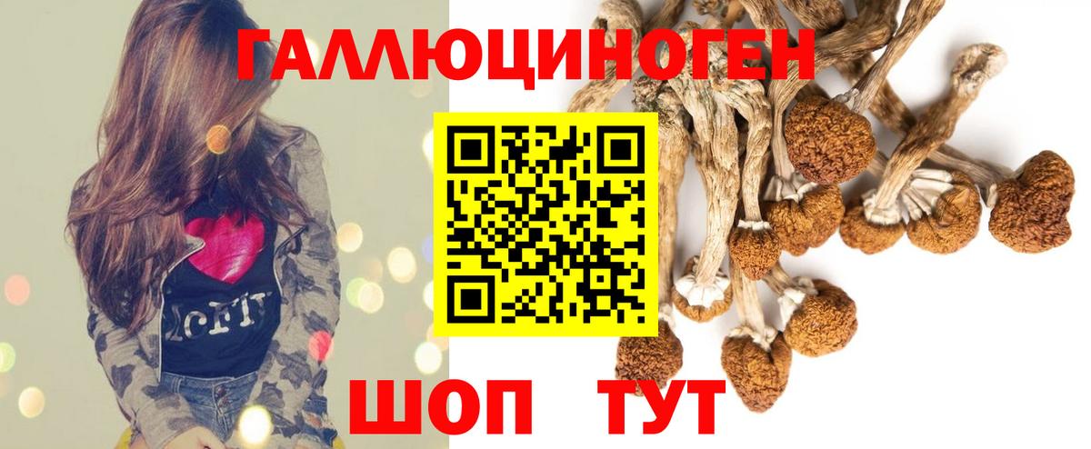 Галлюциногенные грибы MAGIC MUSHROOMS Туапсе